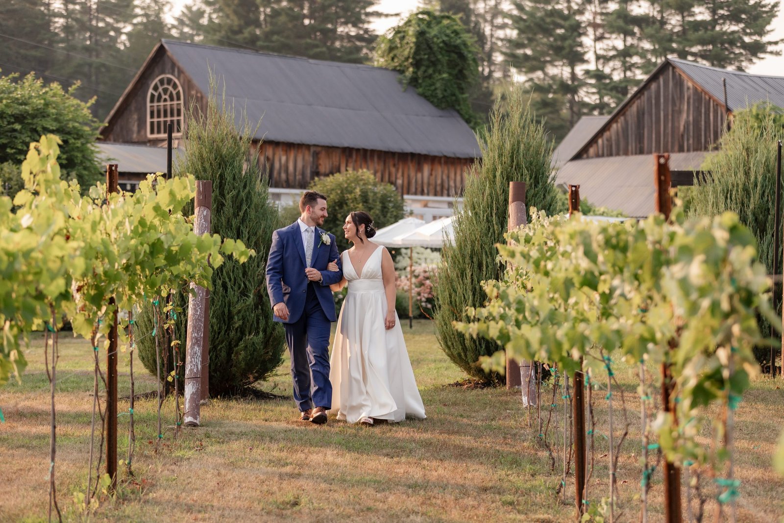 A newlywed couple walks hand-in-hand through a vineyard, with rows of grapevines stretching out on either side.